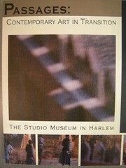 Passages : contemporary art in transition av…